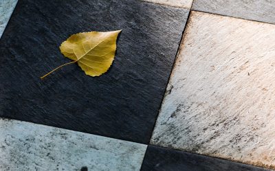 Arten von Steiner-Fliesen: Was passt zu Ihrem Stil?